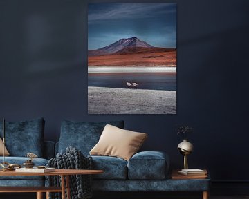 Flamingos in der bolivianischen Hochebene | Bolivien von Felix Van Leusden