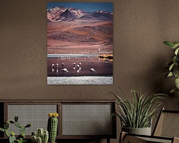 Flamingos op de Boliviaanse hoogvlaktes | Bolivia van Felix Van Leusden