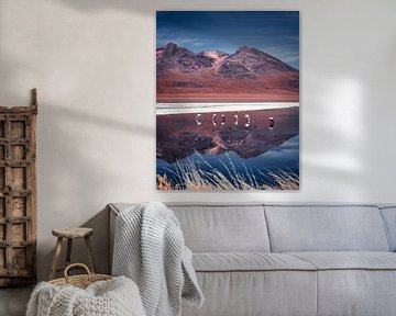 Flamingos op de Boliviaanse hoogvlaktes | Bolivia van Felix Van Leusden