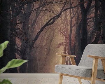 Way through the autumn by Rob Visser