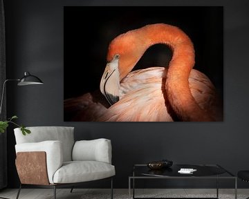 Flamingo van Foto Studio Labie