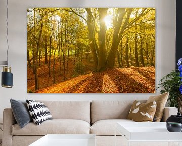 Buchen in einem herbstlichen Wald von Sjoerd van der Wal Fotografie