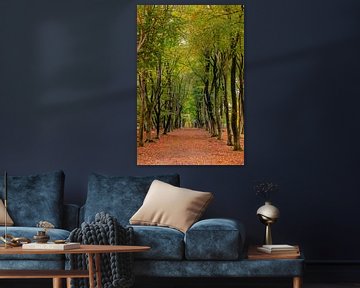 Chemin à travers une forêt de hêtres d'automne dans le Veluwezoom sur Sjoerd van der Wal