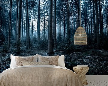 Dark spooky winter  ambiance in a pine tree forest by Sjoerd van der Wal Photography