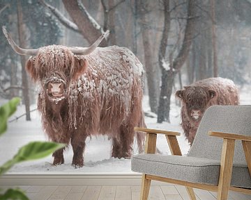 Schottische Hochlandrinder mit einem Kalb im Schnee von Sjoerd van der Wal Fotografie