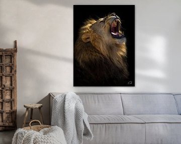 Roaring lion by Remco Rust