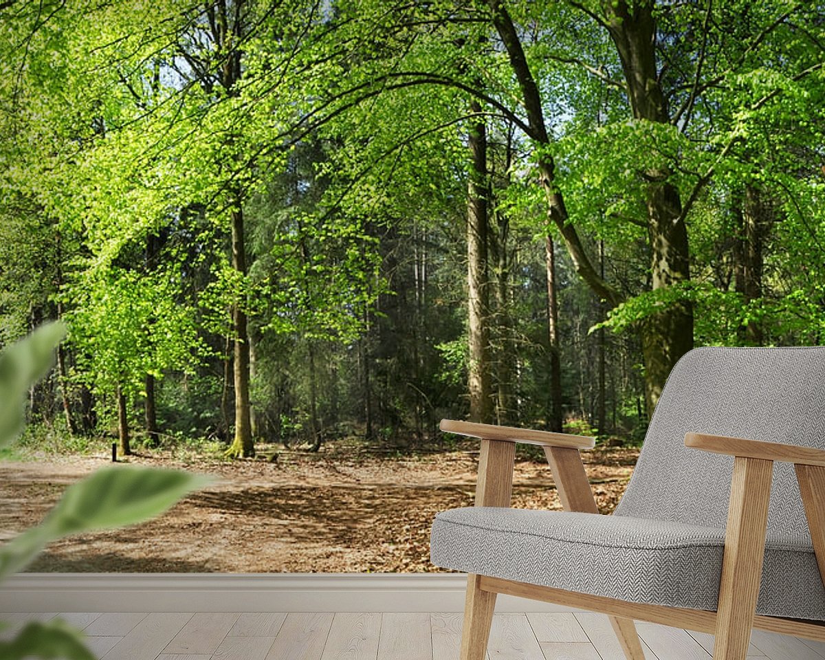 Raumvorschau
