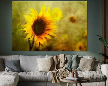 sunflowers by Claudia Moeckel