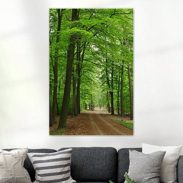 Waldweg in Emmen von Corinne Welp