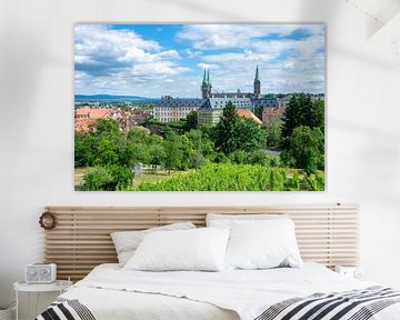 Uitzicht over Bamberg en de kathedraal van Bamberg
