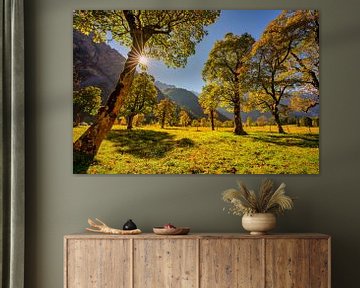 Goldener Herbst im Karwendel - hier am "Großen Ahornboden" von Einhorn Fotografie