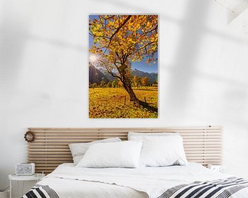 Goldener Herbst im Karwendel - hier am "Großen Ahornboden" von Einhorn Fotografie