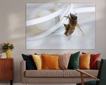 Biene klettert auf Kopfhörer von Besa Art