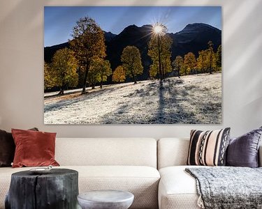 Aperçu de la chambre