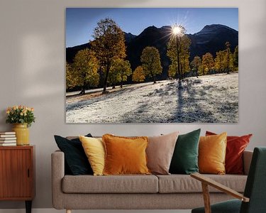 Aperçu de la chambre