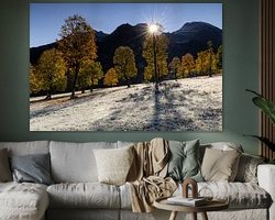 Aperçu de la chambre