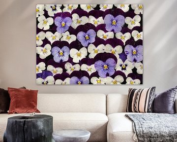 Wallflowers: A wall full of pansies with droplets by Marjolijn van den Berg