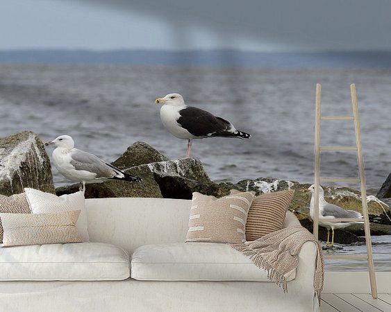 Raumvorschau