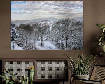 Uitzicht op de bergstad Sankt Andreasberg in het Harzgebergte