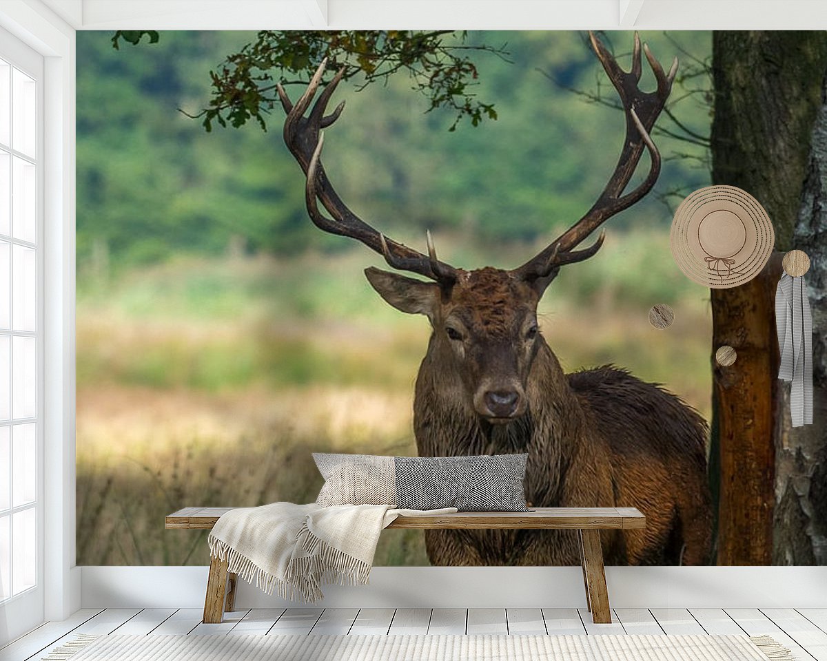 Raumvorschau