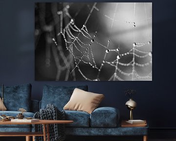 Spinnenweb Dauwdruppels, abstract mono van Imladris Images