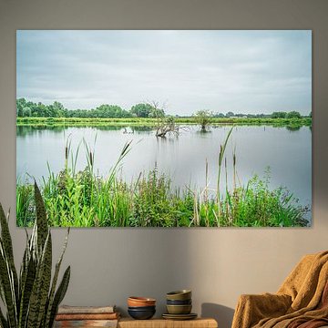 Vue sur la forêt noyée sur Tina Linssen