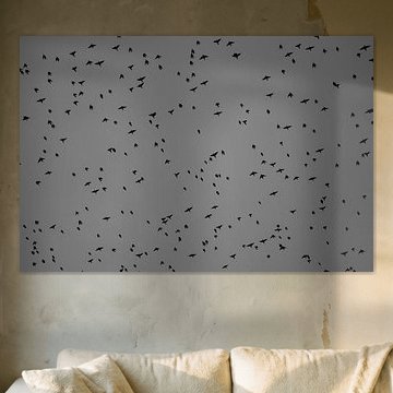 Vögel von unten in Schwarz und Weiß