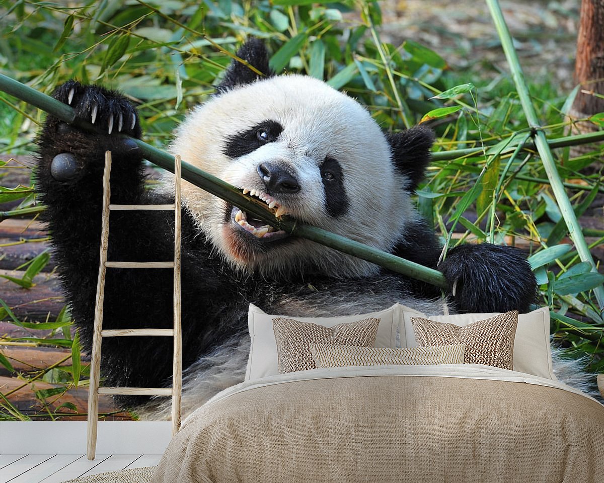 Raumvorschau
