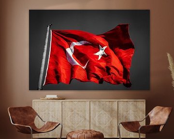 Turkse vlag van Oguz Özdemir