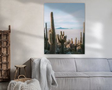 Cactus du Salar de Uyuni | Bolivie sur Felix Van Leusden