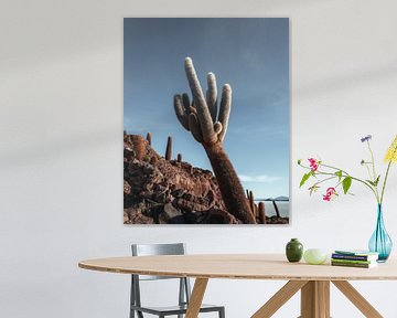 Salar de Uyuni cactus | Bolivia van Felix Van Leusden