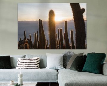 Salar de Uyuni cactus | Bolivia van Felix Van Leusden