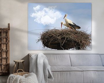 Störche auf dem Nest. von Jose Lok