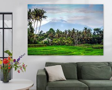 Reisfeld mit Berg und Palmen auf Bali Indonesien von Dieter Walther