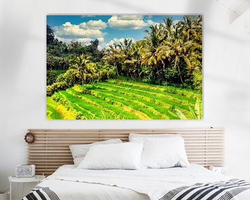 mountains rice terrace rice field with clouds and palm trees on Bali Indonesia by Dieter Walther