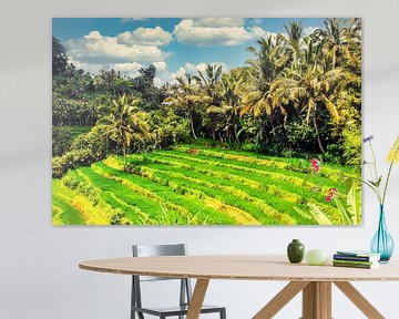 Berge Reisterrasse Reisfeld  mit Bewölkung und Palmen auf Bali Indonesien von Dieter Walther