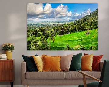 Bergen Rijstterras Rijstveld met Wolken en Palmbomen op Bali Indonesië van Dieter Walther