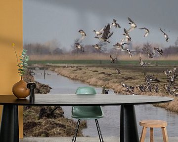 Flying ducks. by André Hamerpagt