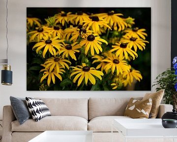 Rudbeckia-bloemen van Barbara Merlone