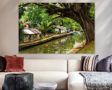 Hamilton Canal mit Hütten in Negombo Sri Lanka von Dieter Walther