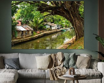 Hamilton kanaal met huisjes in Negombo Sri Lanka van Dieter Walther