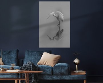 Great egret black and white by David van der Schaaf