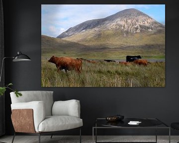 Kudde bont gekleurde koeien in ruig Schots berglandschap van Studio LE-gals