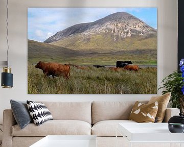 Kudde bont gekleurde koeien in ruig Schots berglandschap van Studio LE-gals