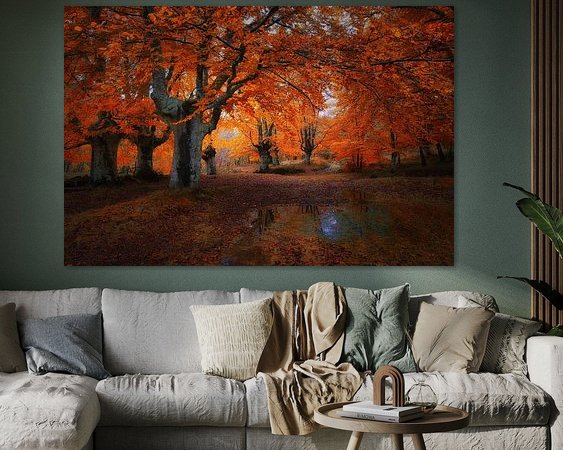 Aperçu de la chambre