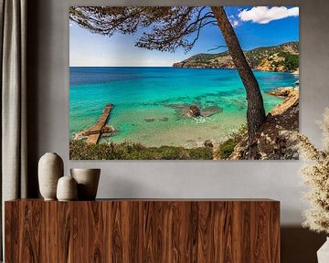Idyllisch uitzicht op de baai van de kust in Camp de Mar, Mallorca van Alex Winter
