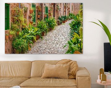 Idyllic street in Valldemossa village on Majorca, Spain Balearic islands by Alex Winter