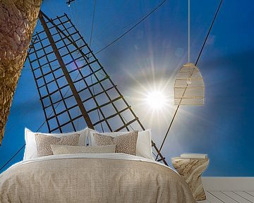 View of Palma de Mallorca port marina with many boats, yachts and old historic wind mill
