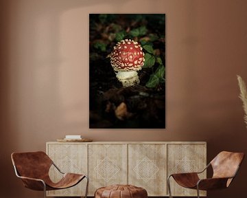 Schattig rode met witte stippen paddenstoel | Nederland | Natuur- en Landschapsfotografie