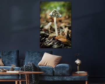 Kleine bruine paddenstoel in het bos | Nederland | Natuur- en Landschapsfotografie van Diana van Neck Photography